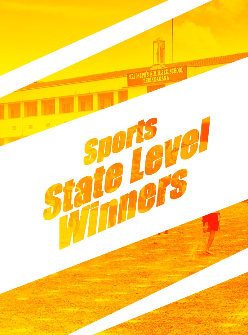 State Level