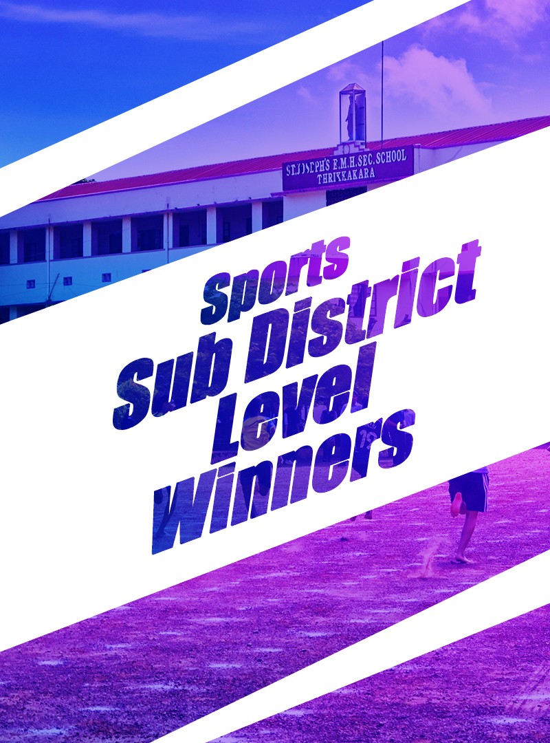Sub District Level